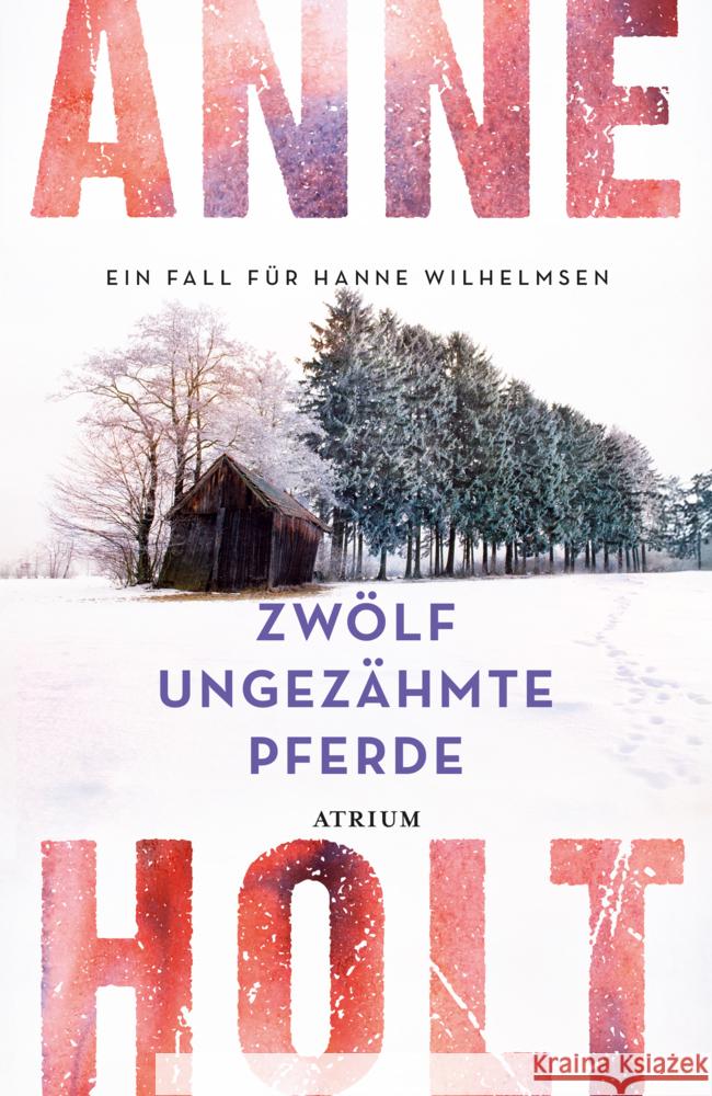 Zwölf ungezähmte Pferde Holt, Anne 9783855351961