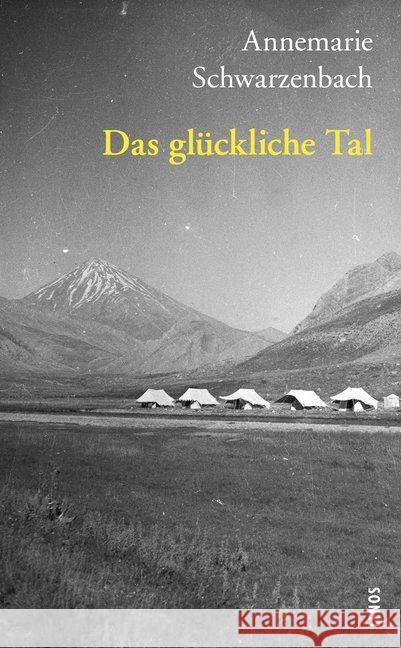 Das glückliche Tal Schwarzenbach, Annemarie 9783857878169 Lenos