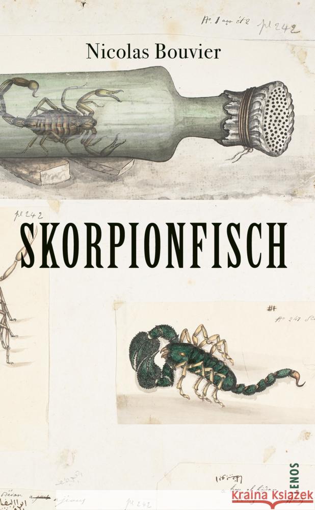 Skorpionfisch Bouvier, Nicolas 9783857878473 Lenos