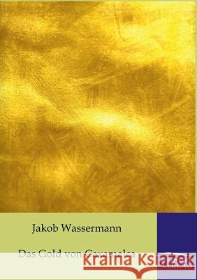 Das Gold von Caxamalca Wassermann, Jakob 9783861957942 Salzwasser-Verlag