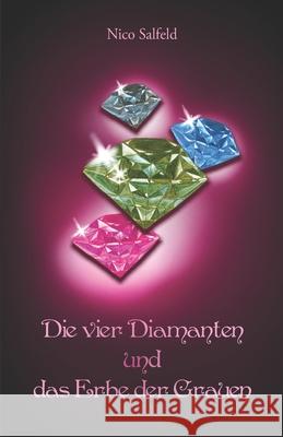 Die vier Diamanten und das Erbe der Grauen Nico Salfeld 9783861963233 Papierfresserchens Mtm-Verlag