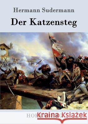 Der Katzensteg: Roman Hermann Sudermann 9783861990963 Hofenberg