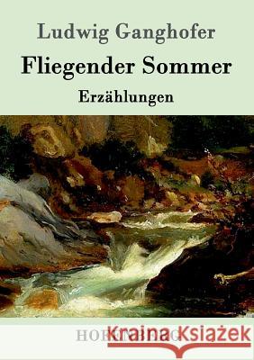 Fliegender Sommer: Erzählungen Ludwig Ganghofer 9783861993674 Hofenberg