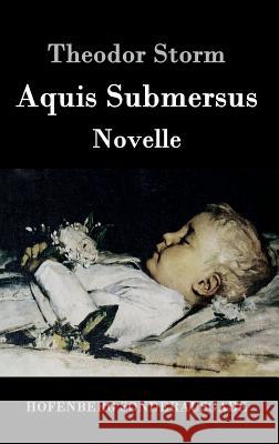 Aquis Submersus: Novelle Storm, Theodor 9783861997610 Hofenberg