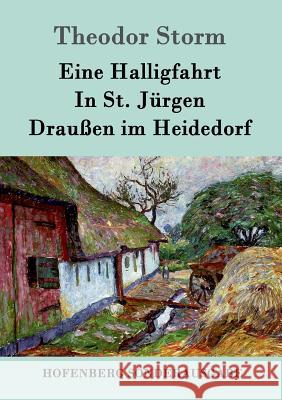 Eine Halligfahrt / In St. Jürgen / Draußen im Heidedorf Theodor Storm 9783861997634 Hofenberg