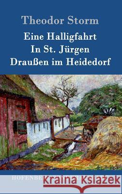 Eine Halligfahrt / In St. Jürgen / Draußen im Heidedorf Theodor Storm 9783861997641 Hofenberg