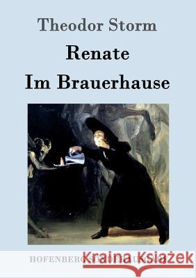 Renate / Im Brauerhause Theodor Storm 9783861997801 Hofenberg