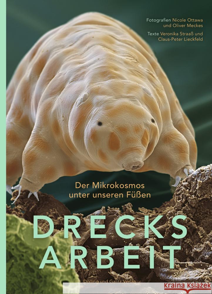 DRECKSARBEIT Straaß, Veronika, Lieckfeld, Claus-Peter 9783862181728