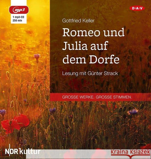 Romeo und Julia auf dem Dorfe, 1 MP3-CD Keller, Gottfried 9783862316212