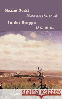 In Der Steppe Gorki, Maxim   9783862670147 Europäischer Hochschulverlag