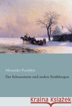 Der Schneesturm und andere Erzählungen Puschkin, Alexander S. 9783862678037 Europäischer Literaturverlag