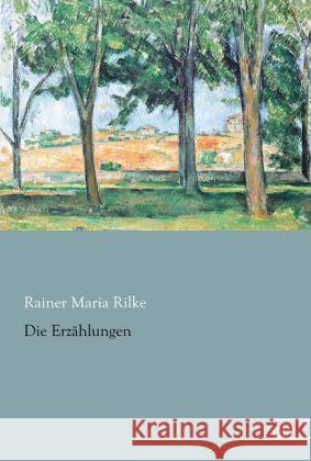 Die Erzählungen Rilke, Rainer Maria 9783862678662