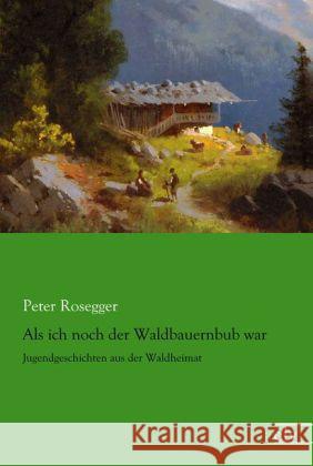 Als ich noch der Waldbauernbub war : Jugendgeschichten aus der Waldheimat Rosegger, Peter 9783862678730 Europäischer Literaturverlag