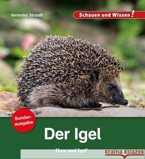 Der Igel Straaß, Veronika 9783863163198