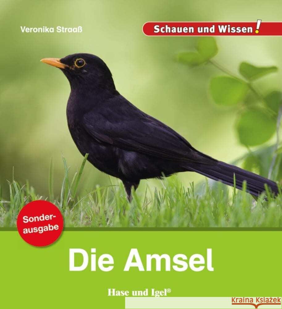 Die Amsel / Sonderausgabe Straaß, Veronika 9783863163549