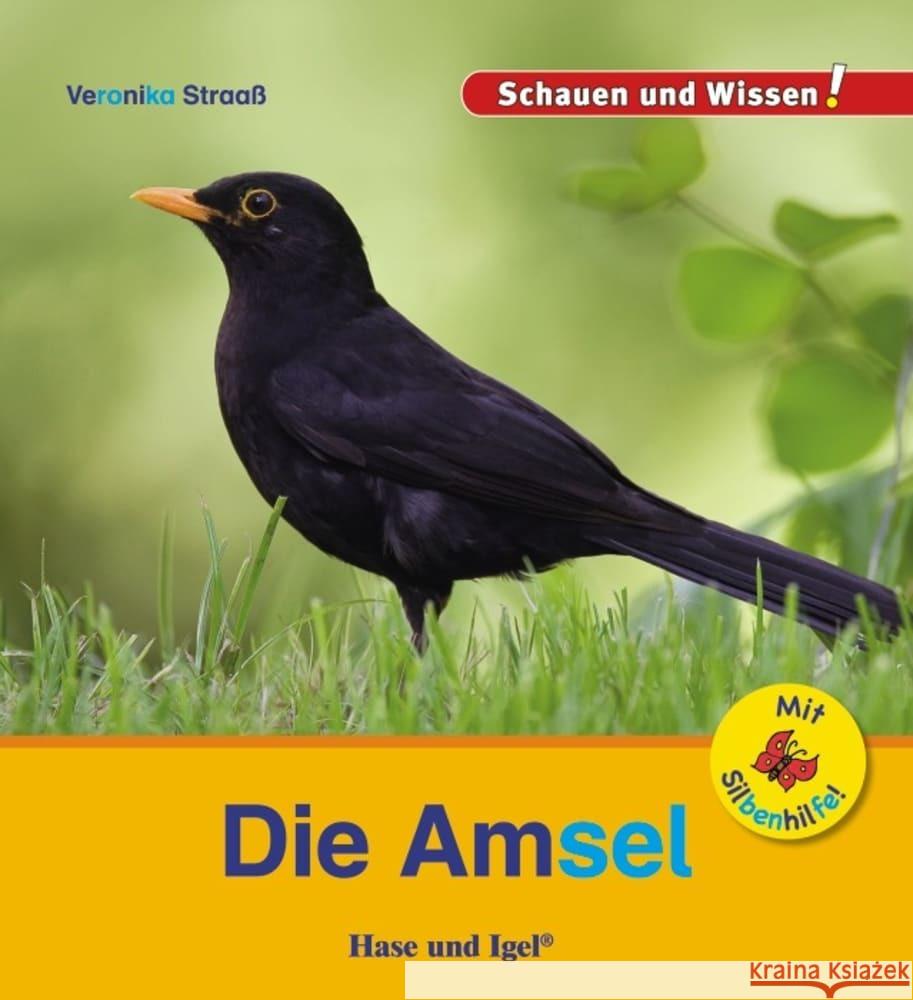 Die Amsel / Sonderausgabe mit Silbenhilfe Straaß, Veronika 9783863163594