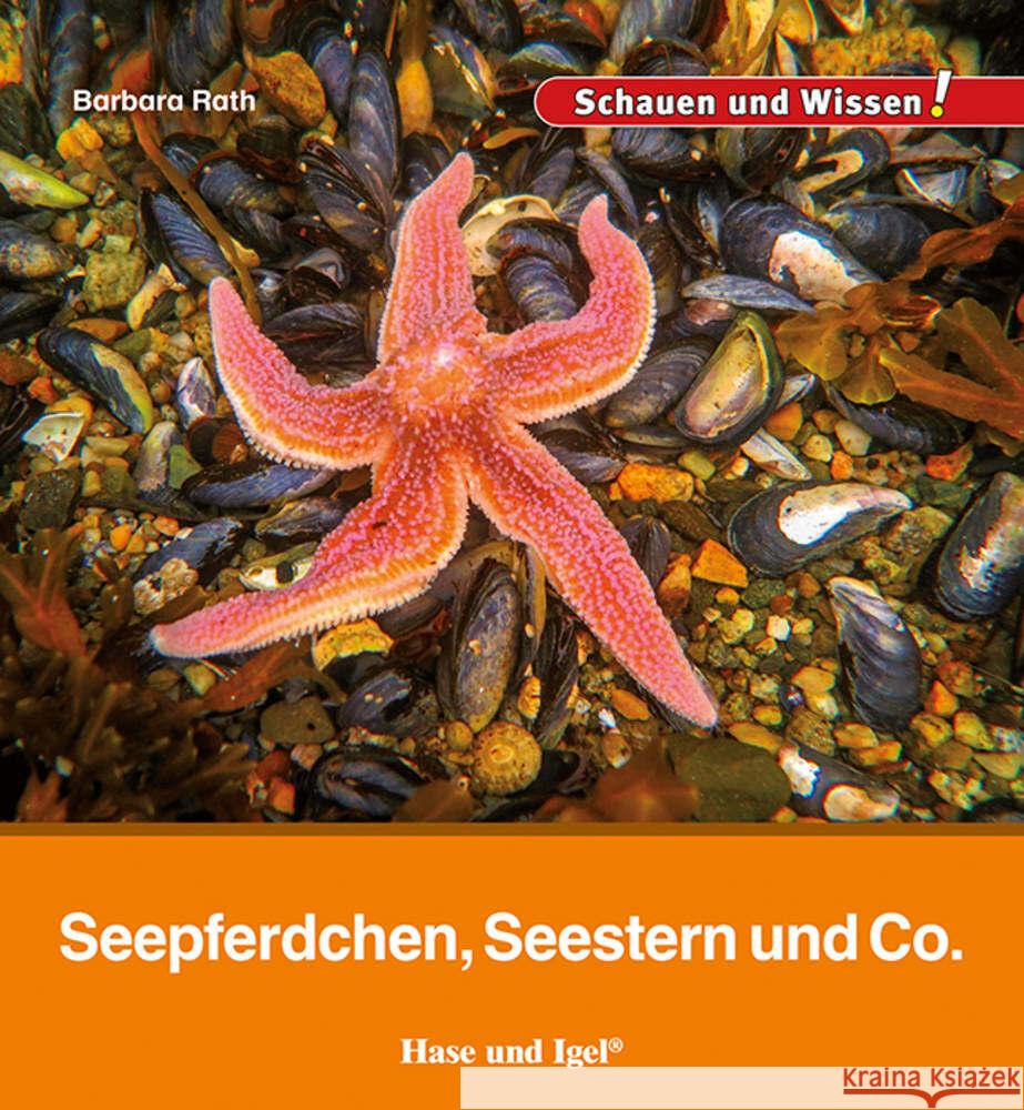 Seepferdchen, Seestern und Co. Rath, Barbara 9783863164706