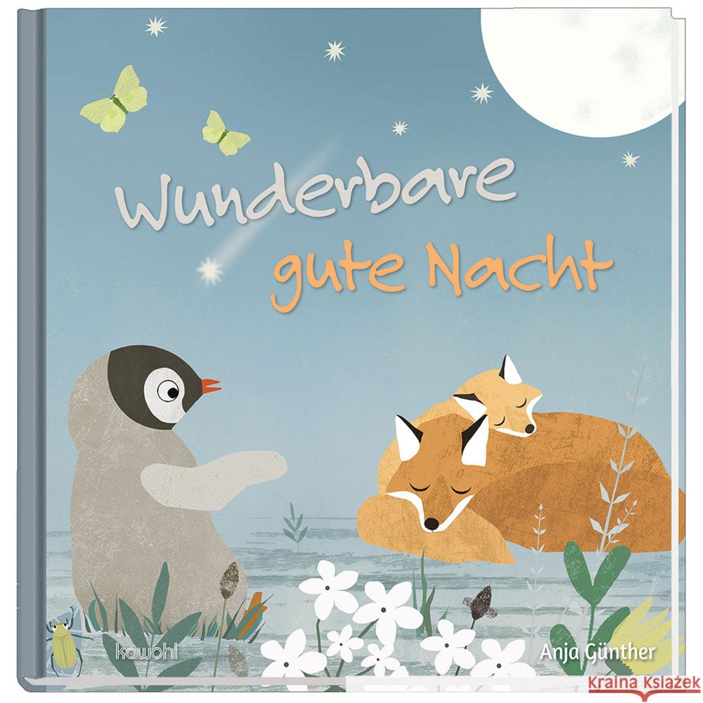 Wunderbare gute Nacht Günther, Anja 9783863386061 Kawohl