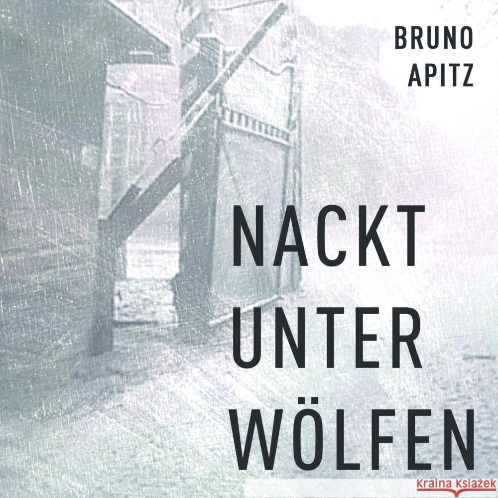 Nackt unter Wölfen, Audio-CD, MP3 Apitz, Bruno 9783863525200 Hierax Medien