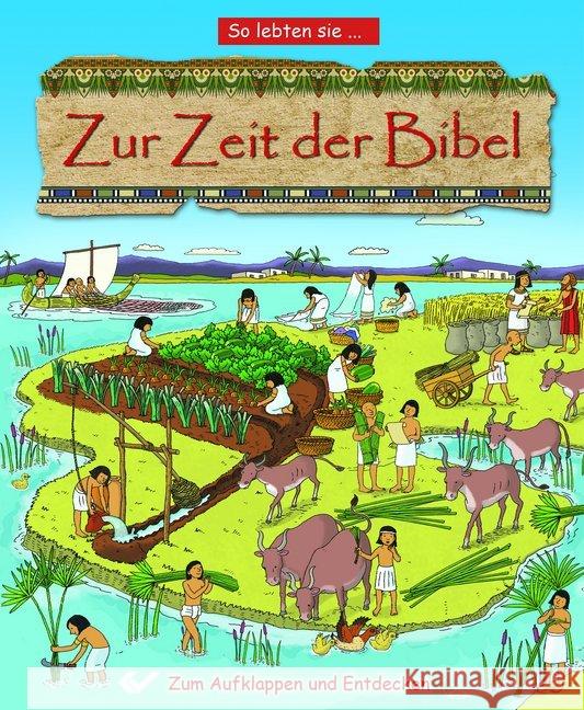 Zur Zeit der Bibel : So lebten sie.... Zum Aufklappen und entdecken Rock, Lois; Lewis, Anthony 9783863535476 Missionswerk Mitternachtsruf