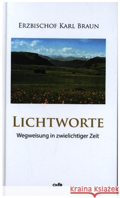 Lichtworte Braun, Karl 9783863572860 Fe-Medienverlag