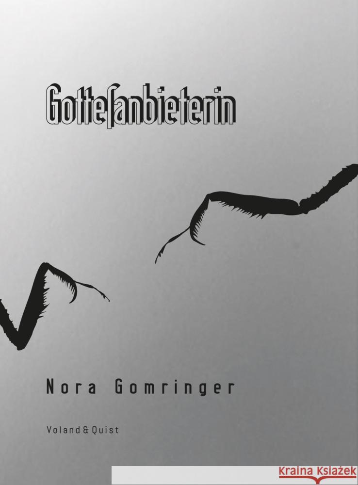 Gottesanbieterin, m. 1 Audio-CD Gomringer, Nora 9783863912505 Voland & Quist