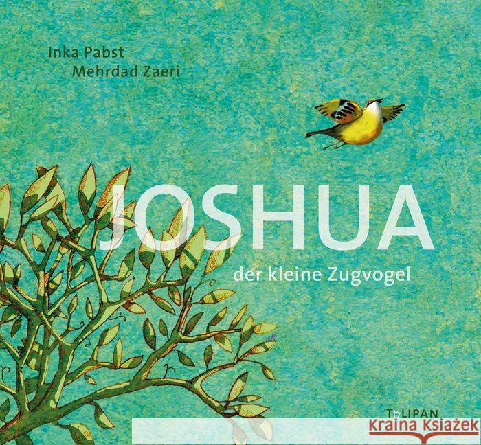 Joshua - Der kleine Zugvogel : Bilderbuch Pabst, Inka 9783864294624 Tulipan
