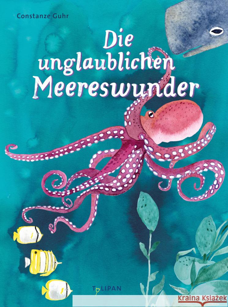 Die unglaublichen Meereswunder Guhr, Constanze 9783864296178 Tulipan