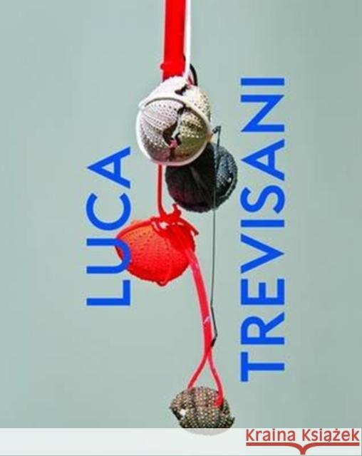 Luca Trevisani: Catalogue Raisonne Renat Wiehager, Daimler Contemporary 9783864421068 Snoeck Verlagsgesellschaft mbH