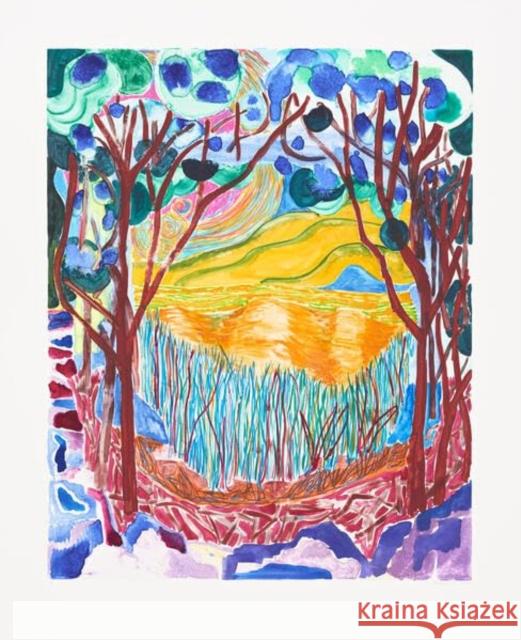 Surprise: Art of the Monotype  9783864424304 Snoeck Verlagsgesellschaft mbH