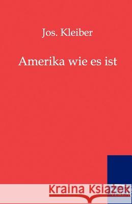 Amerika Wie Es Ist Kleiber, Jos. 9783864440557 Salzwasser-Verlag