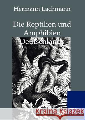 Die Reptilien Und Amphibien Deutschlands Lachmann, Hermann 9783864443039
