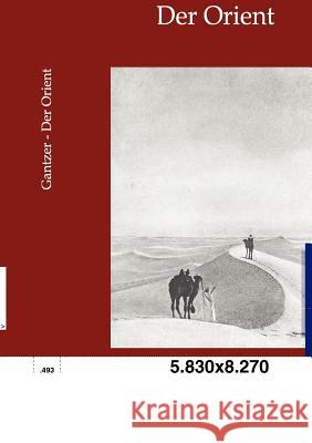 Der Orient Gantzer, Otto 9783864446207 Salzwasser-Verlag