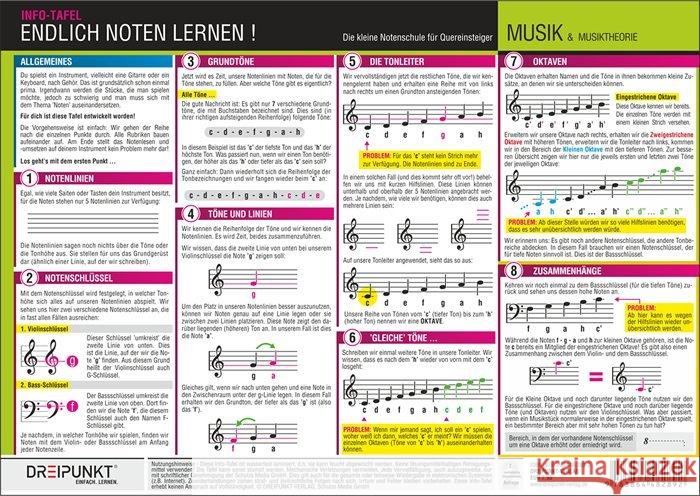 Endlich Noten lernen!, Infotafel : Die kleine Notenschule für Quereinsteiger Schulze, Michael 9783864482892 Dreipunkt Verlag