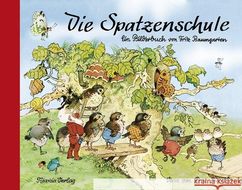 Die Spatzenschule : Ein Bilderbuch von Fritz Baumgarten Baumgarten, Fritz; Pflock, Rose 9783864724022