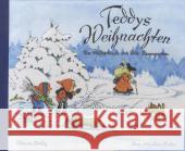 Teddys Weihnachten : Ein Bilderbuch mit Versen Baumgarten, Fritz; Hahn, Lena 9783864724046