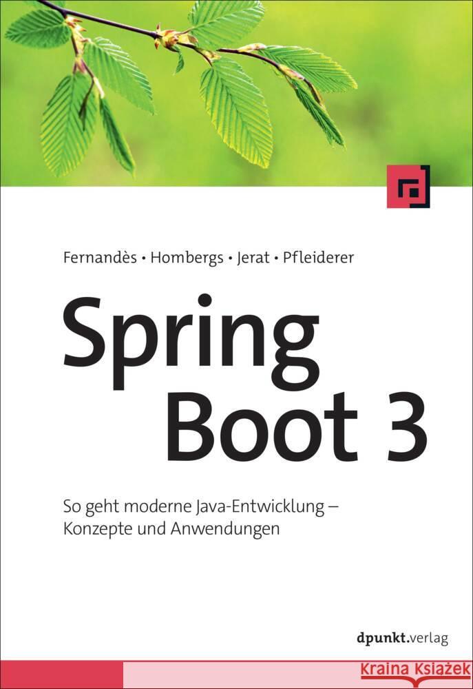 Spring Boot 3 Fernandès, François, Hombergs, Tom, Jerat, Benedikt 9783864909948