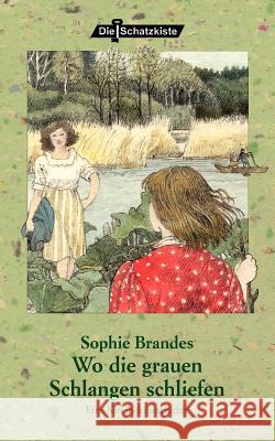 Wo die grauen Schlangen schliefen Brandes, Sophie 9783865201034