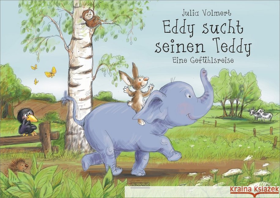 Eddy sucht seinen Teddy : Eine Gefühlsreise Volmert, Julia 9783865590985 albarello