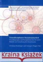 Transdisziplinäre Sozialraumarbeit Reutlinger, Christian Wigger, Annegret  9783865962362 Frank & Timme