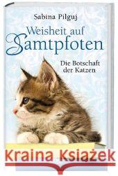 Weisheit auf Samtpfoten : Die Botschaft der Katzen Pilguj, Sabina   9783866161313