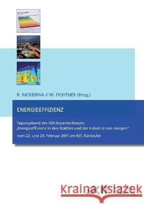 Energieeffizienz: Tagungsband des VDI-Expertenforums Wolf Fichtner, Russell McKenna 9783866447103 Karlsruher Institut Fur Technologie