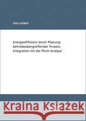 Energieeffizienz durch Planung betriebsübergreifender Prozessintegration mit der Pinch-Analyse Jens Ludwig 9783866448834