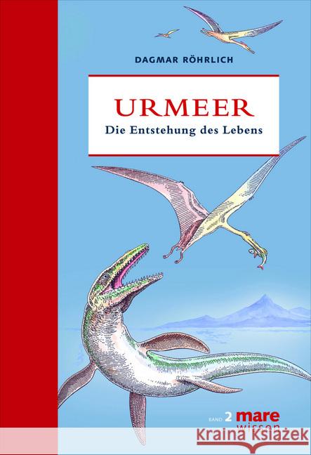 Urmeer : Die Entstehung des Lebens Röhrlich, Dagmar 9783866481237