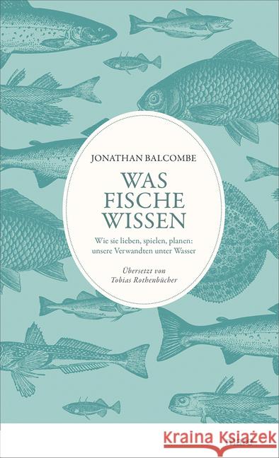 Was Fische wissen : Wie sie lieben, spielen, planen: unsere Verwandten unter Wasser Balcombe, Jonathan 9783866482838