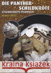 Die Pantherschildkröte : Stigmochelys Pardalis Herz, Mario 9783866591813 Natur und Tier-Verlag