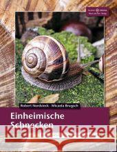 Einheimische Schnecken : In der Natur, im Garten und zu Hause Nordsiek, Robert; Brugsch, Micaela 9783866591912 Natur und Tier-Verlag