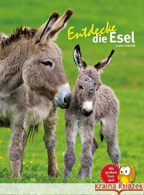 Entdecke die Esel : Mit großem Esel-Quiz Schmidt, Judith 9783866592919 Natur und Tier-Verlag