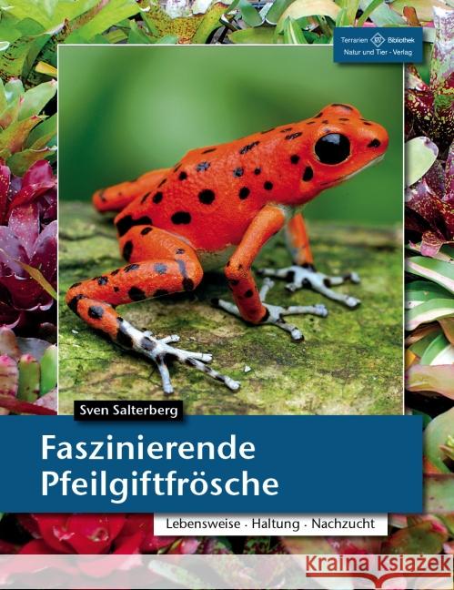 Faszinierende Pfeilgiftfrösche : Lebensraum, Haltung, Nachzucht Salterberg, Sven 9783866592995 Natur und Tier-Verlag