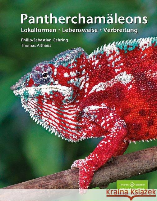 Pantherchamäleons : Lokalformen, Lebensweise, Verbreitung Gehring, Philip-Sebastian; Althaus, Thomas 9783866593077 Natur und Tier-Verlag